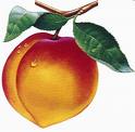 peach The Peach has never been sweeter...